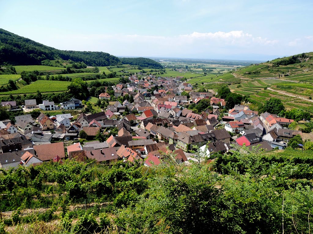 2014.06-Vogtsburg im Kaiserstuhl by dawx