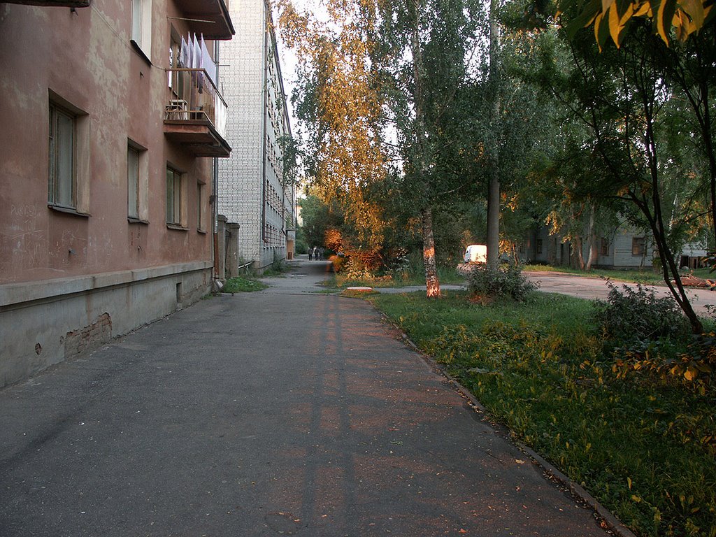 Россия: Вологда: Заречье: ул.Некрасова,3; 21:01 12.08.2006 by vadimpl