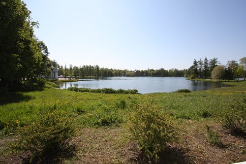 Pushkin (San Pietroburgo): Lago presso il Palazzo di Caterina. by Carlo Pelagalli