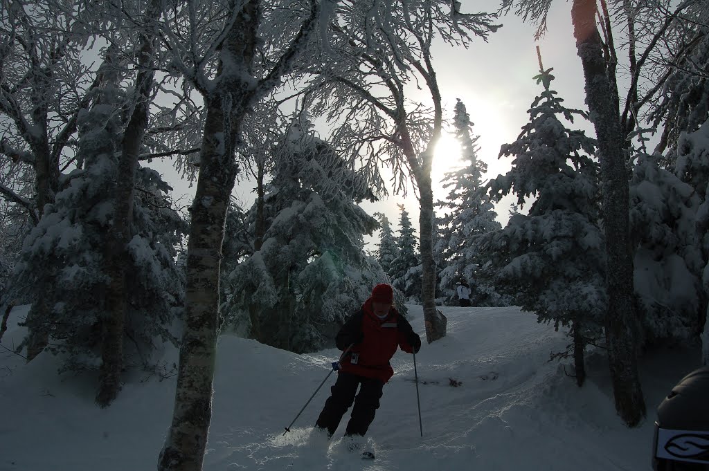 Entering Kitz Woods by Evan Detrick