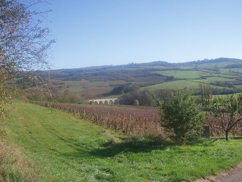 Les vignes et le viaduc by Annick Thévenot