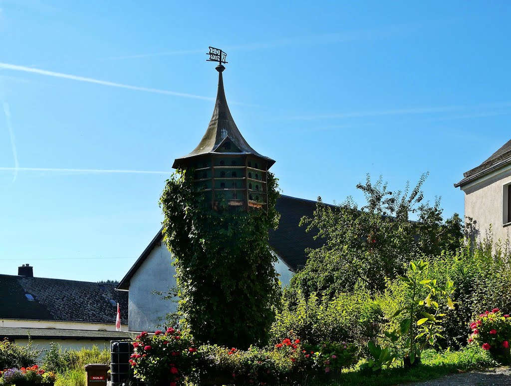 Hof OT Leimitz (Bayern) - Das "vermummte" Taubenhaus mit Wetterfahne in Leimitz by Thomas Eichler