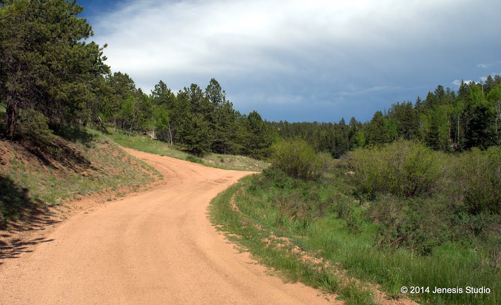 Forest Road 315 on Rampart Range by PurpleBling