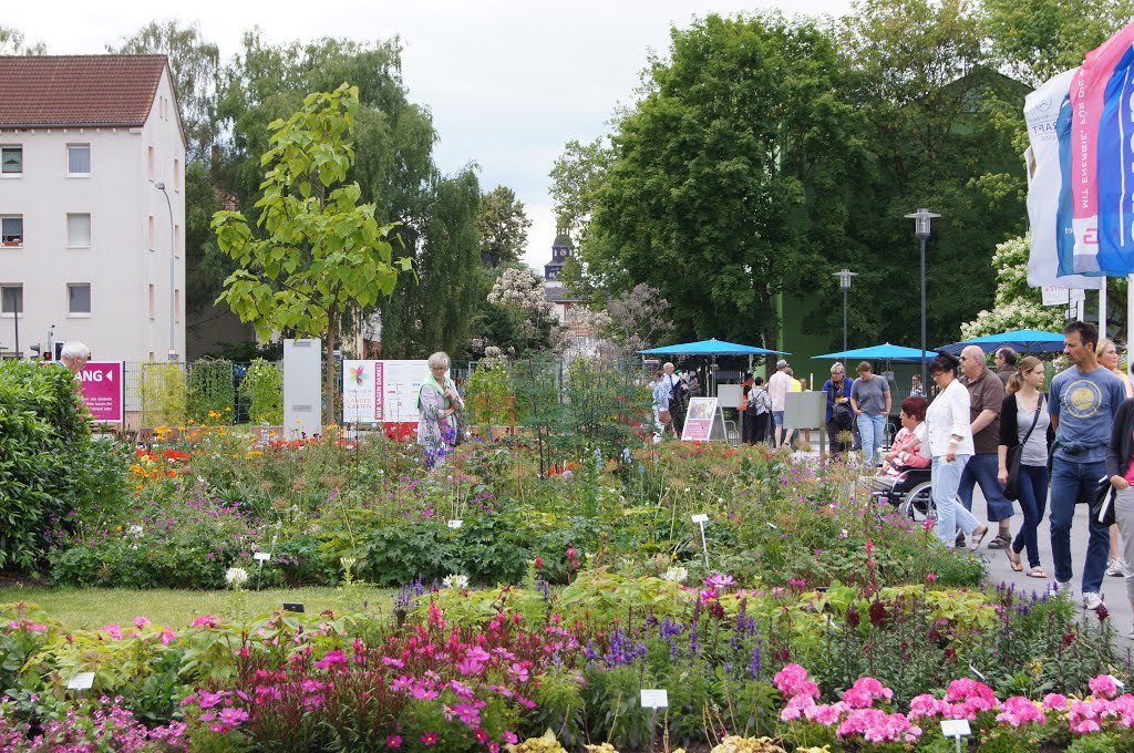 Wissenschaftsachse auf der Landesgartenschau 2014 by Green Island