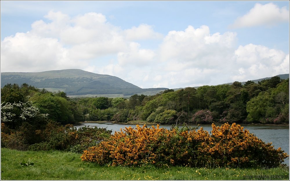 Irland Ring of Beara - Auf der Zufahrt zum Dunboy Castle by Marina Frintrop