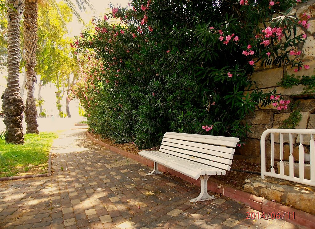 Park in Nahariya, Israel. June 2014 by Romeo T