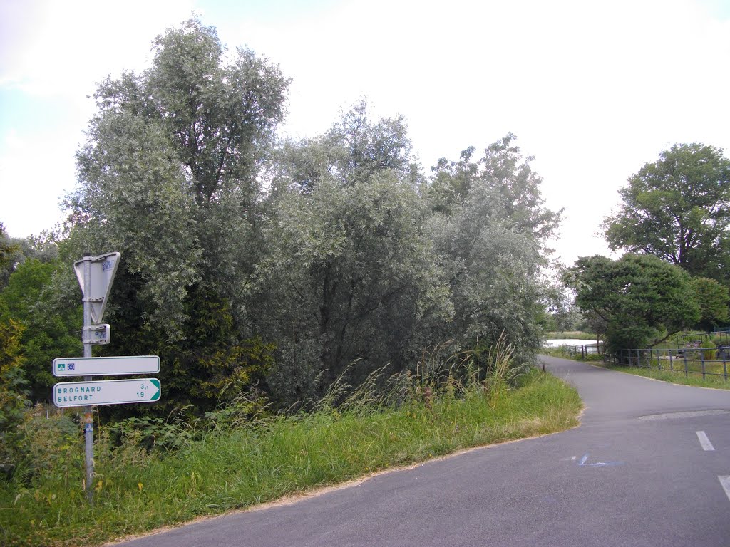 Piste vers l'écluse 11 & la rue des Bateliers à Etupes-Technoland by Claudius B.