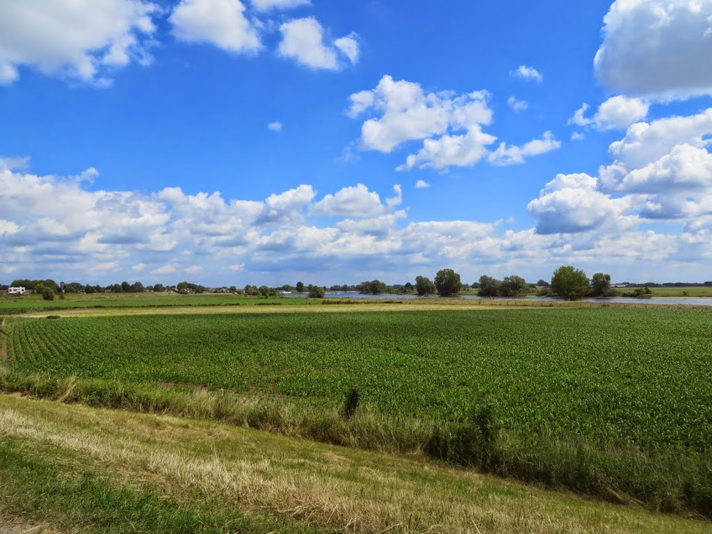 NL - Well - Wellsedijk by Danny Danckaert