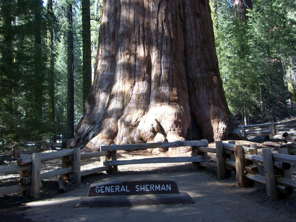 General Sherman by Iceage34