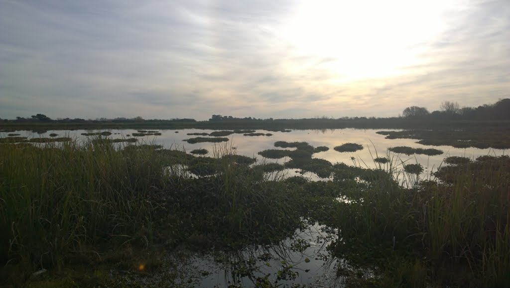 Laguna de San Vicente (Laguna del Ojo) by lozowski