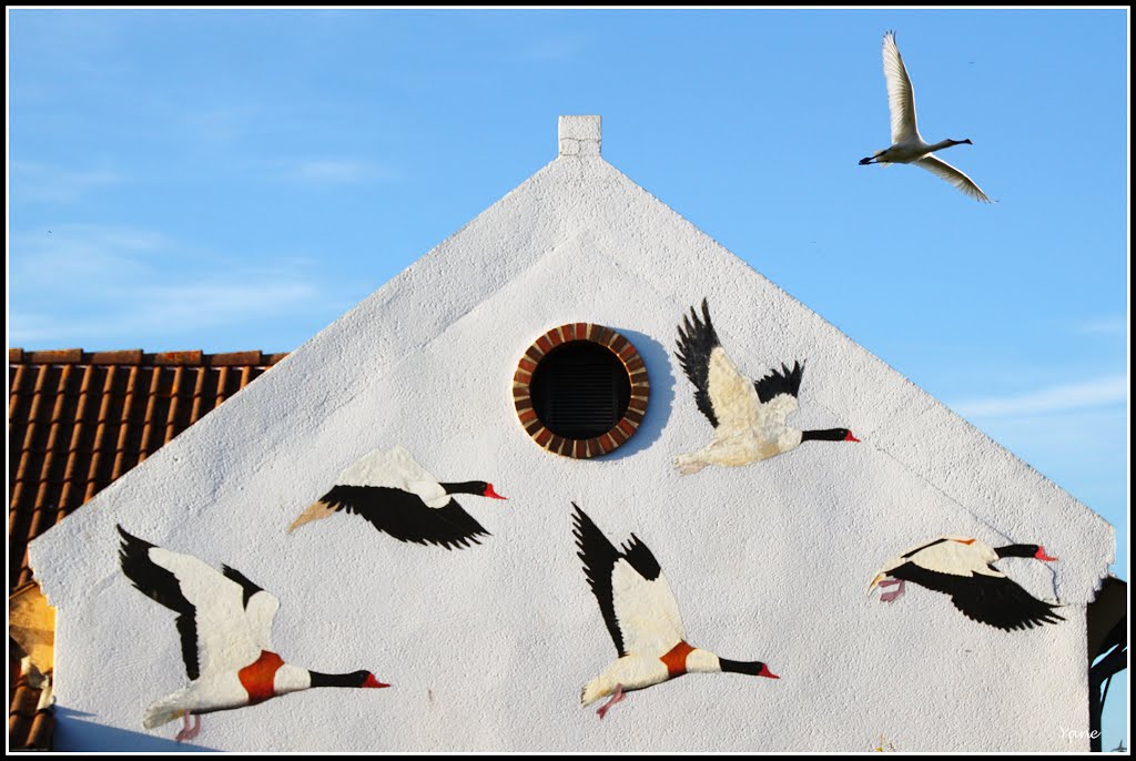 Maison de l'Oiseau by Yane&André