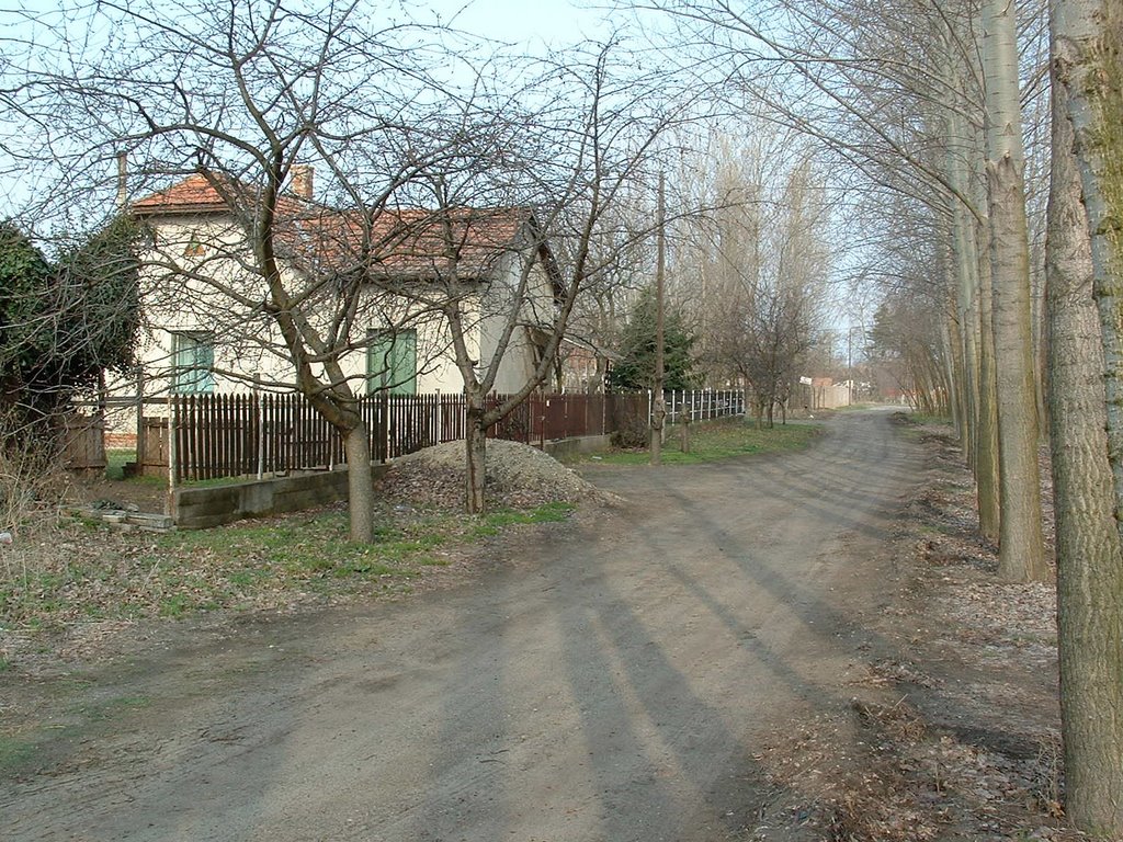 Az SZGV egykori végállomása / Old railway terminal by uhi67