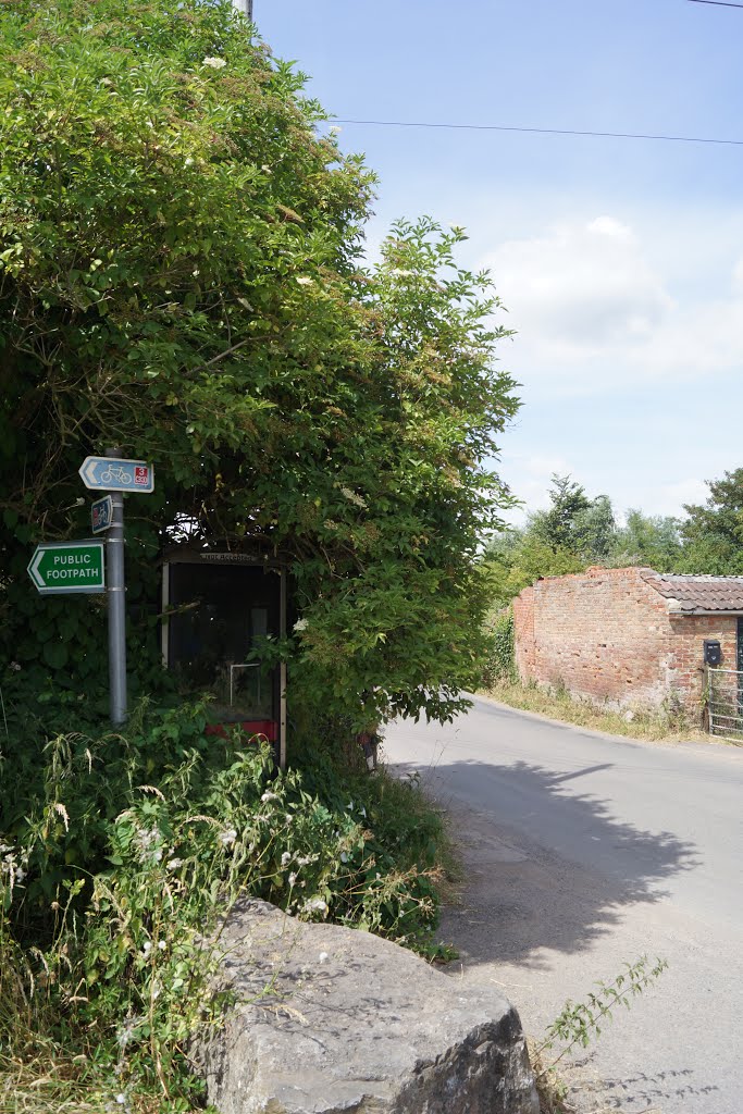 Overgrown Phonebox by Mike Shields