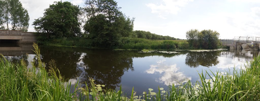 Kings Sedgemoor Drain by Mike Shields