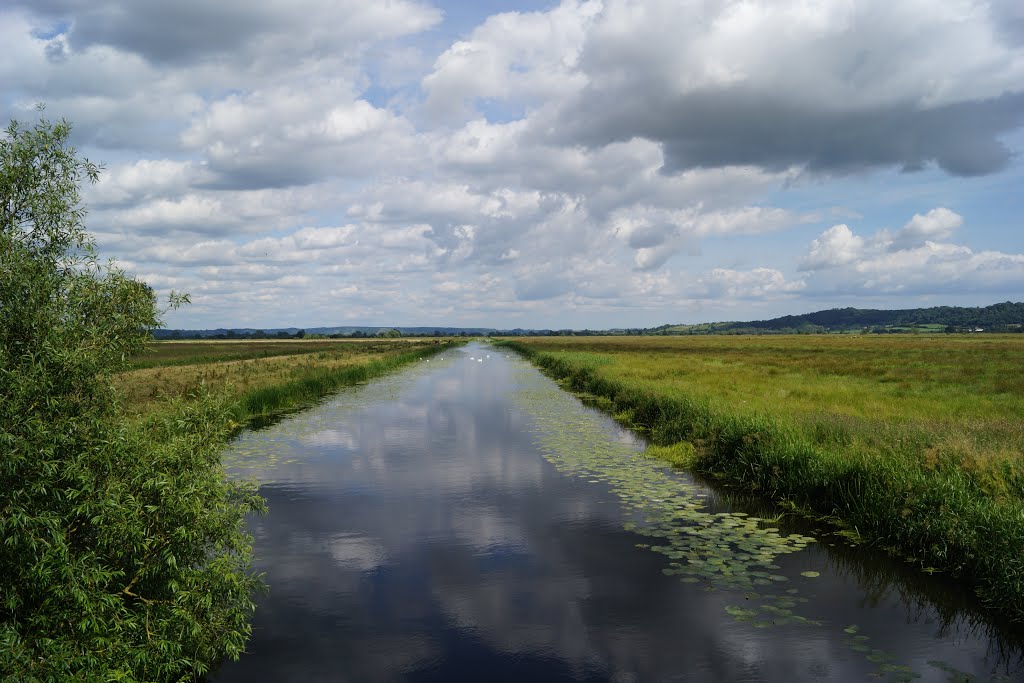 Kings Sedgemoor Drain by Mike Shields