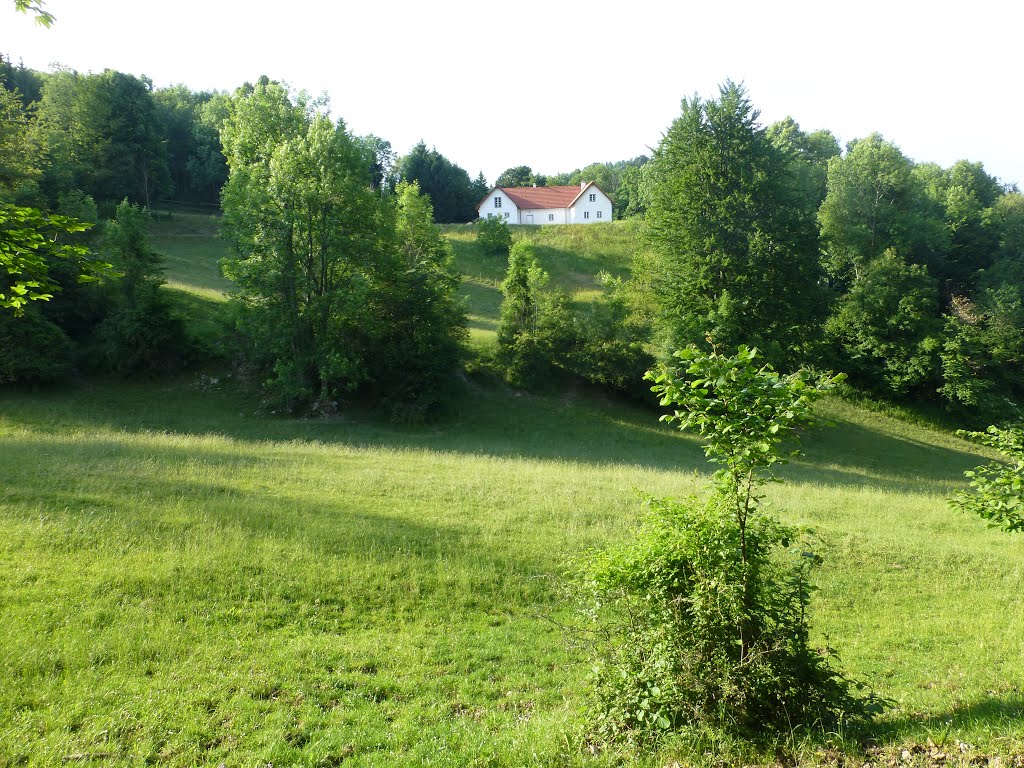 3272 Neustift bei Scheibbs - Buchberg (Blick auf ehemaliges Bauernhaus Schneebichl) by Oetscherland