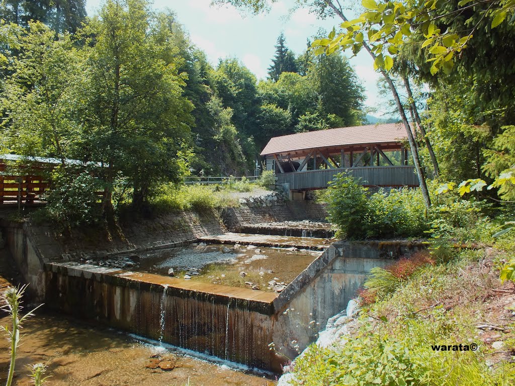 Obermaiselstein (i) in Oberschwaben/Oberallgäu > Gedeckte Holzbrücke über die Schöneberger Ach by warata