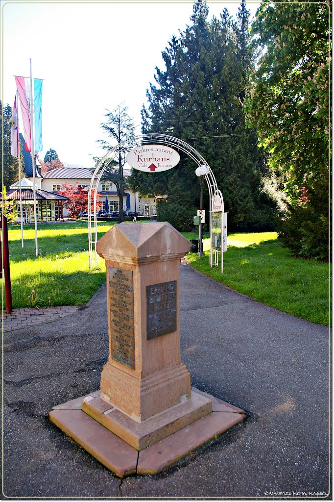 Bad Herrenalb - Gedenkstein am Erhard-Beutter-Platz by mkks34123