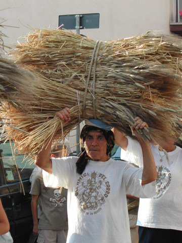 Fontanarosa (AV), Festa del Carro. by Fiore Silvestro Barb…