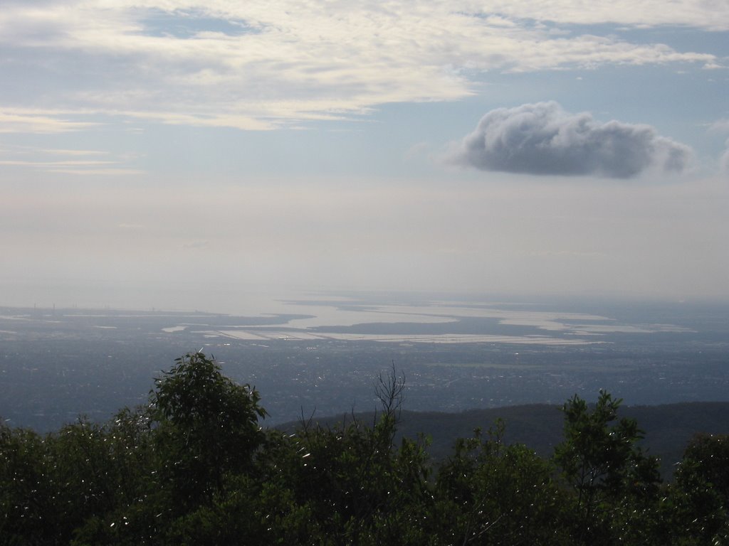 View from Mt. Lofty over Adelaide by persolus