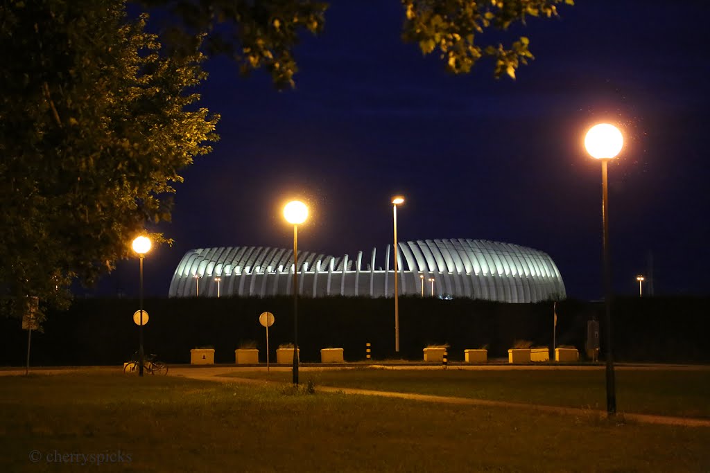 Zagreb Arena by cherryspicks