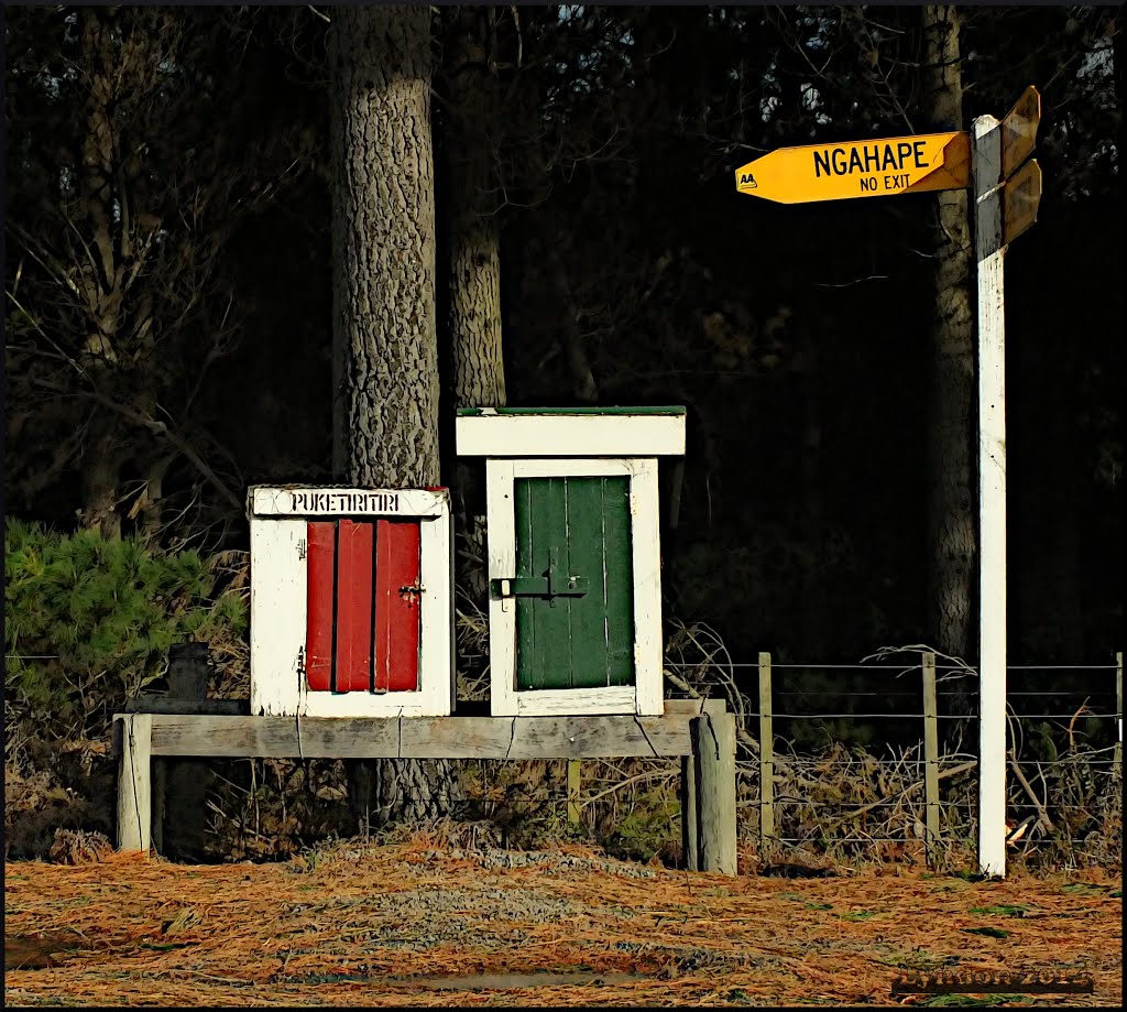 Puketiritiri Post Boxes by Lyndon