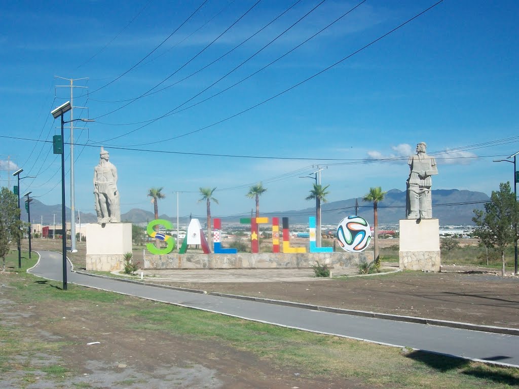 Celebra Saltillo el Mundial de Brasil 2014 by fernando yates