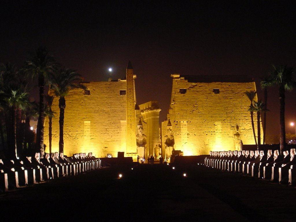 Luxor Temple by Night by Paulo Antunes Veras