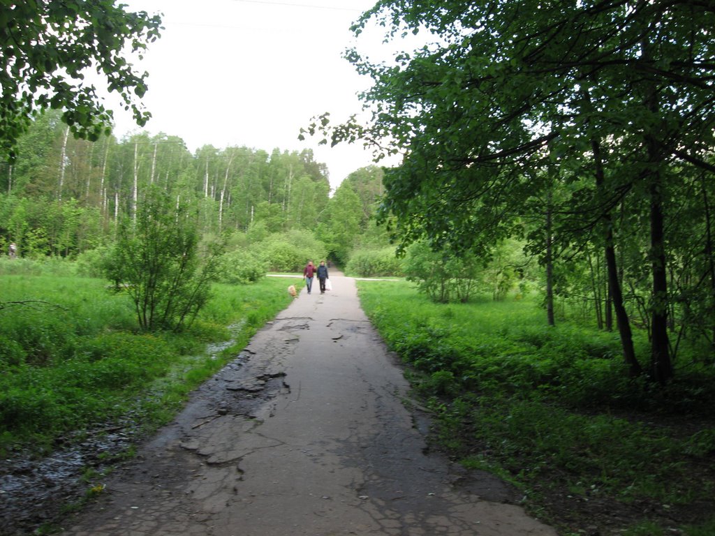 Продолжение Абрамцевской просеки на восток в сторону МКАД. Рядом с метрогородком. Вид на восток. by Ghm