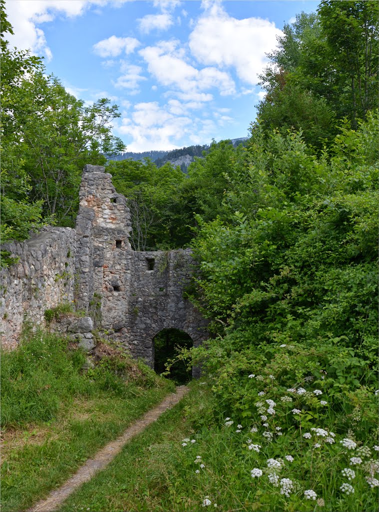 Eingang Ruine Wolkenstein by Steidl Normann