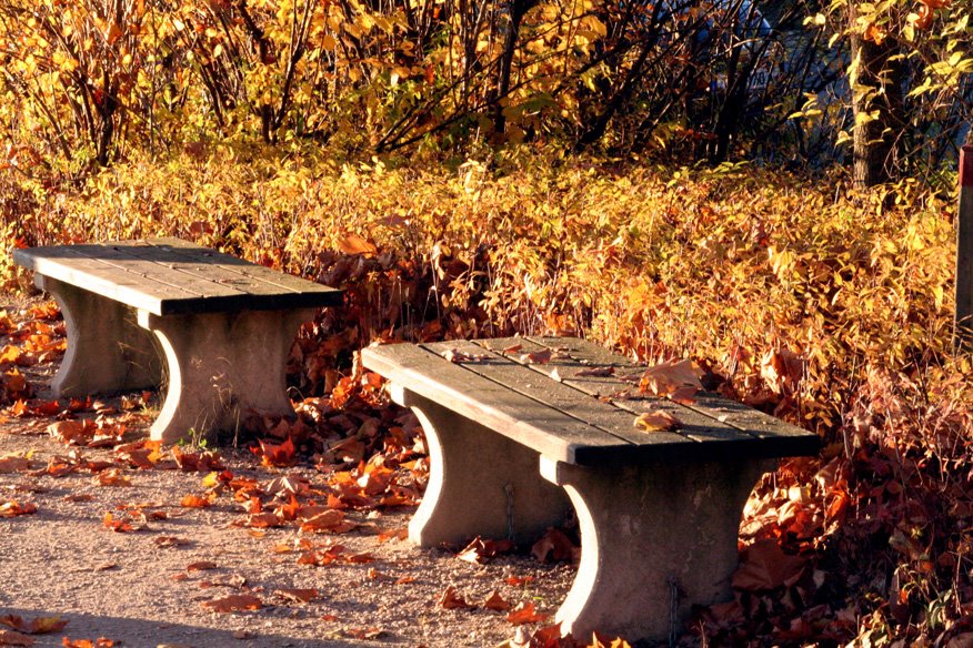 Autunno al Woerthersee by Marco Serafini