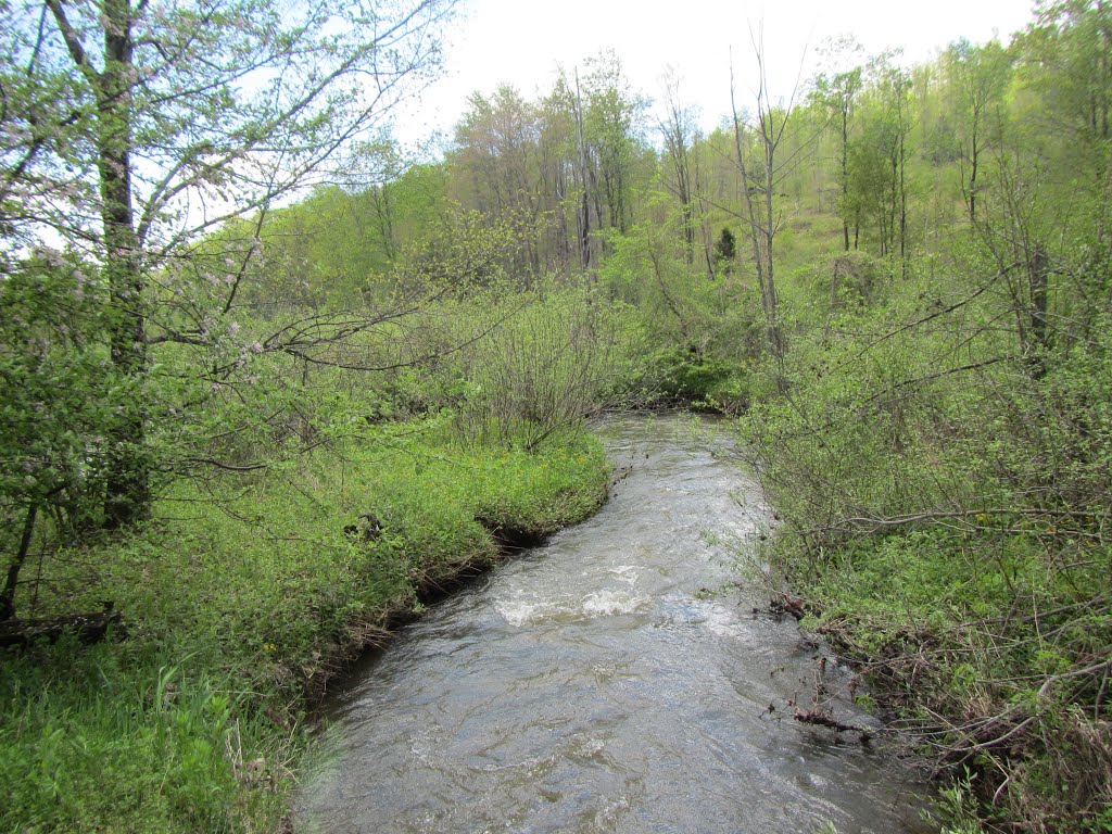 The Potomac downstream from Kempton Rd. by midatlanticriverrat