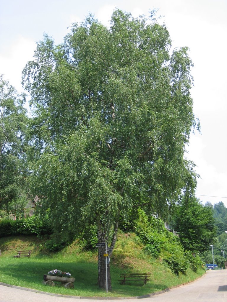 Gemütlicher Rastplatz in Sulzbach / Comfortable resting place in Sulzbach by Ralf Steib