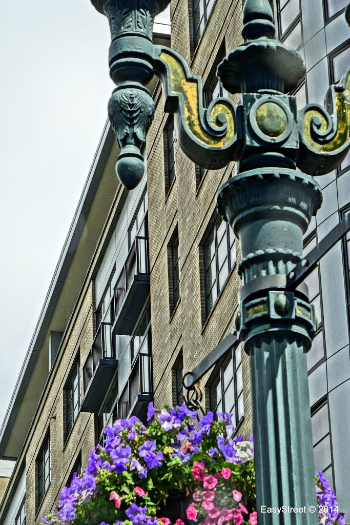 Flower Power • Portland, OR by Easy Street Images ©