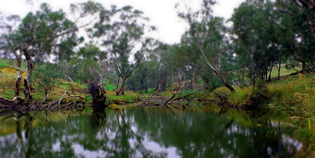 Lake Eppalock Spillway Campaspe River by WalkingDroid