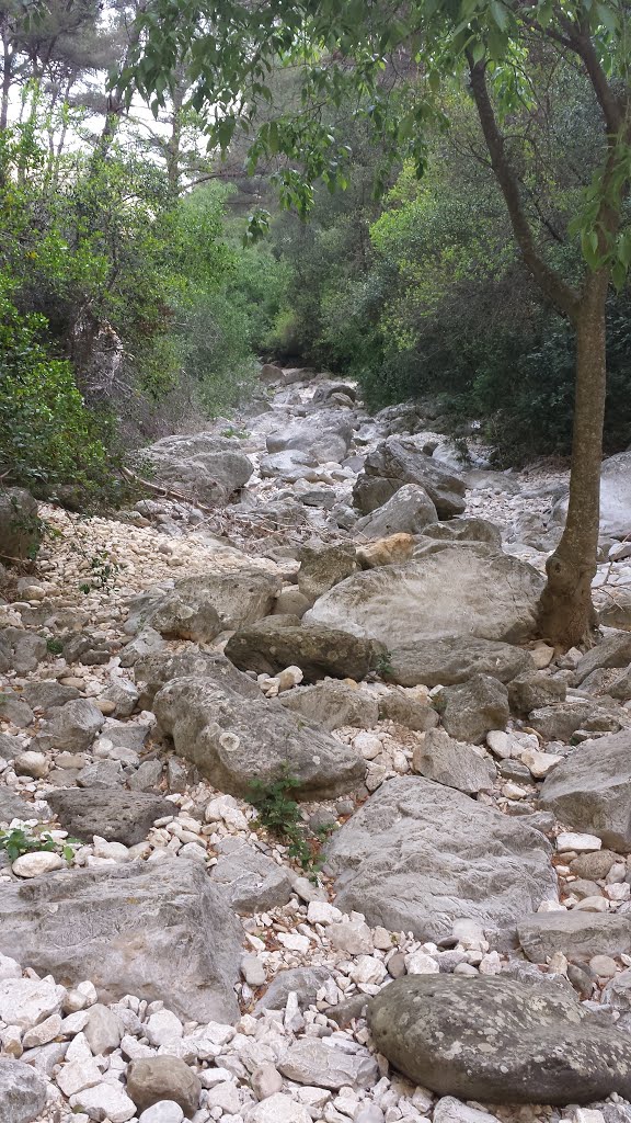 Le Destel dans les gorges d'Ollioules, Var by liovar