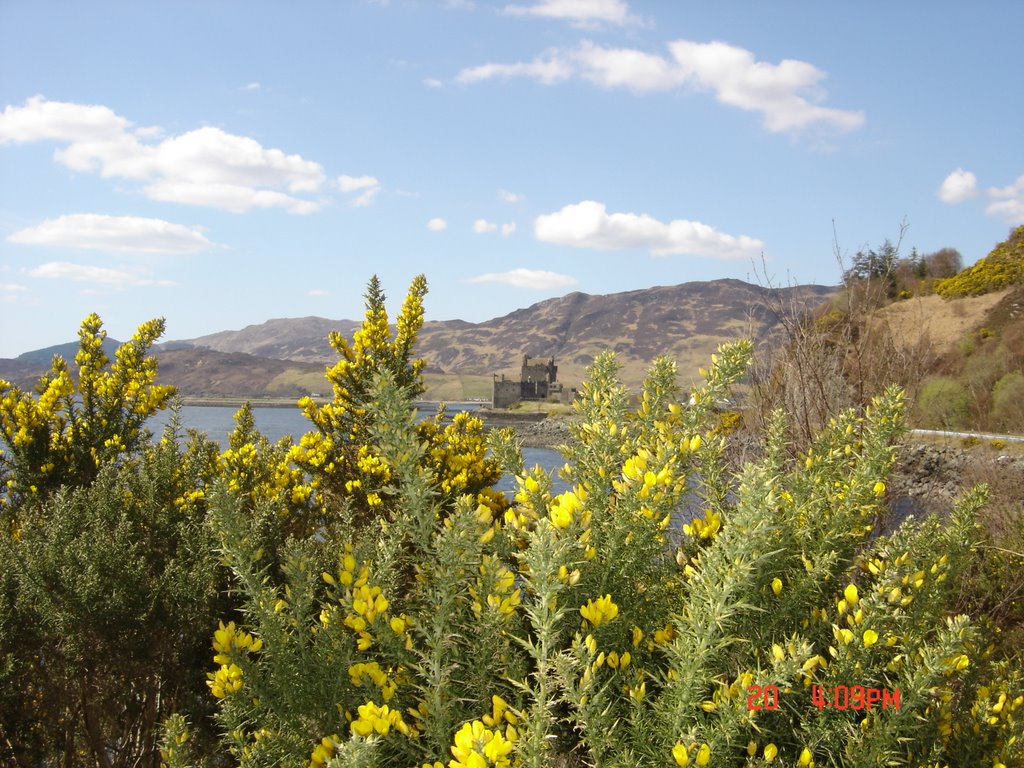 Loch Duich Eilean Donan Castle Tom&Cla by tomm77tn