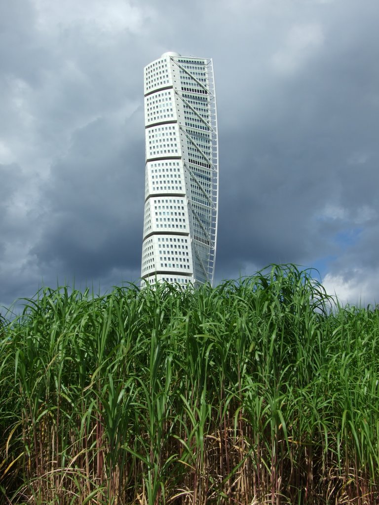 Twisted Torso - Malmö by myitchyfeet