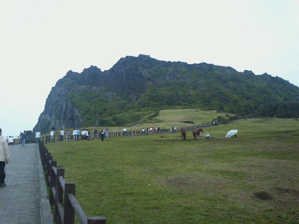 Seongsan-ri, Seongsan-eup, Seogwipo-si, Jeju-do, South Korea by Park Sungbum