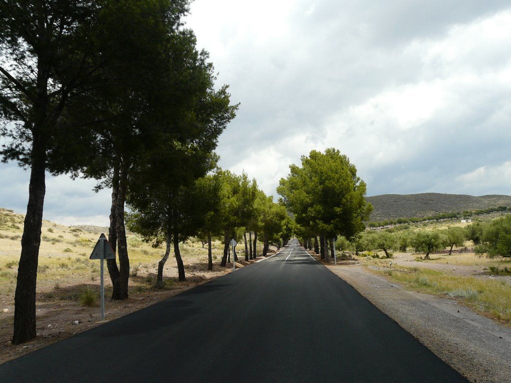 Carretera Alboloduy (Los Catalanes) by Namanhar