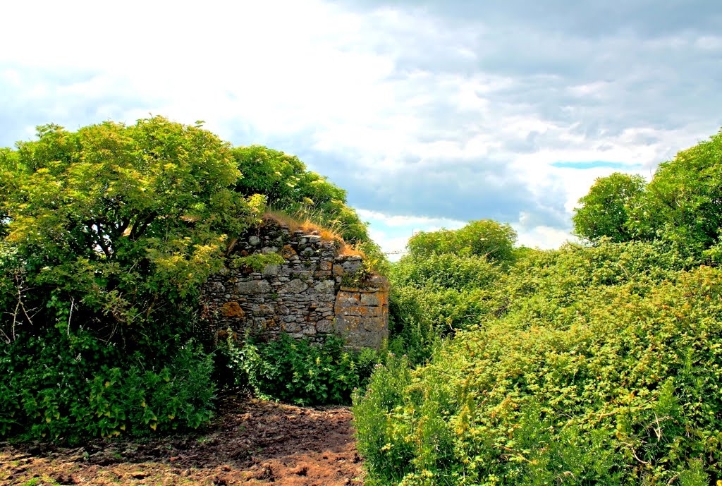 Ruins of old house on the Cunigar by A Kelly