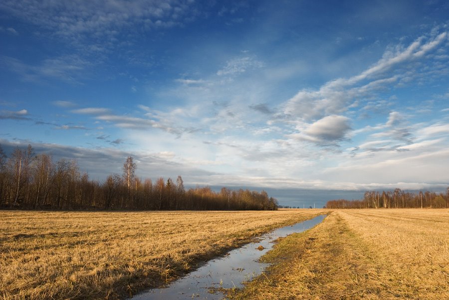 Breytovsky District, Yaroslavl Oblast, Russia by Dmitry Mottl