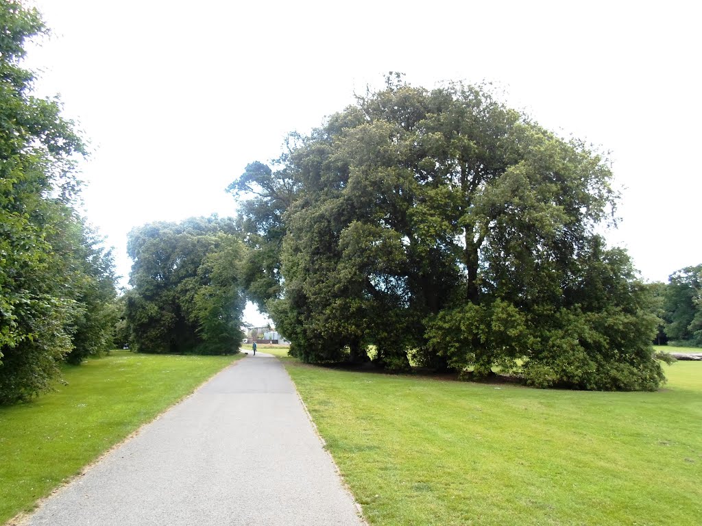 Santry Park Dublin by do.ki