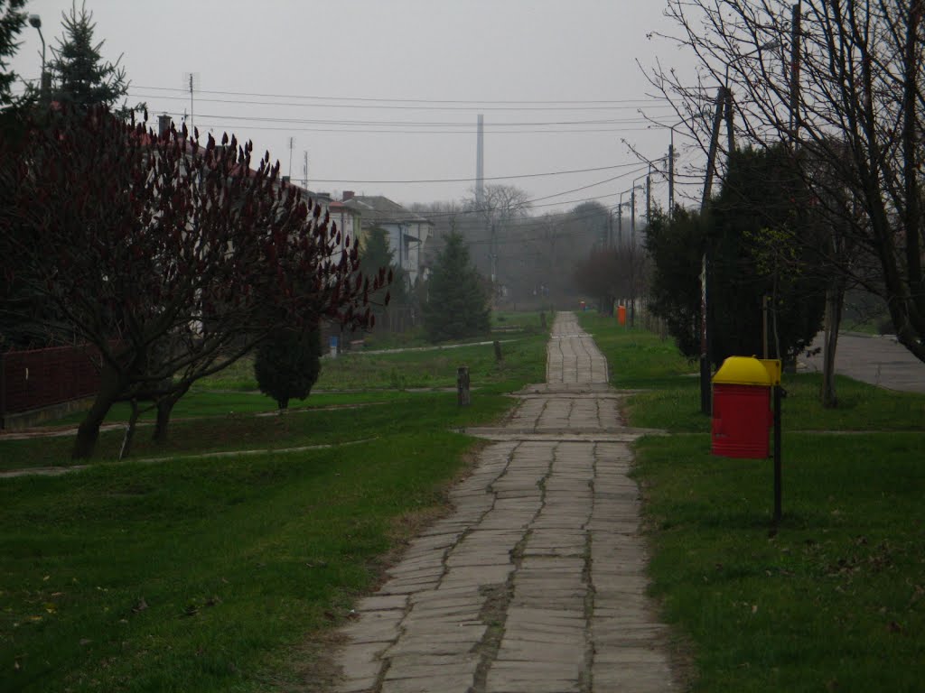 Ul. Wspolna (Terespol) W tle widac "bagnet" twierdzy Brzeskiej na terenie Bialorusi by ЧКЛД