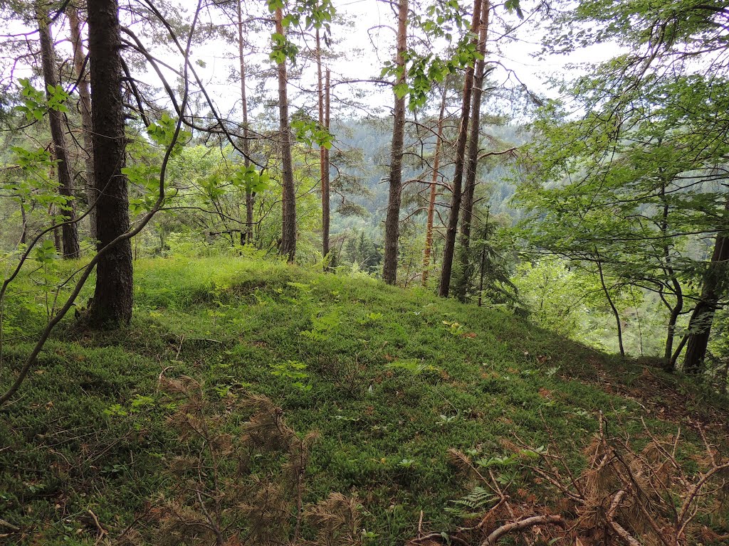 Grad GUTENBERK (Hudi grad) - Tržič by alukasev