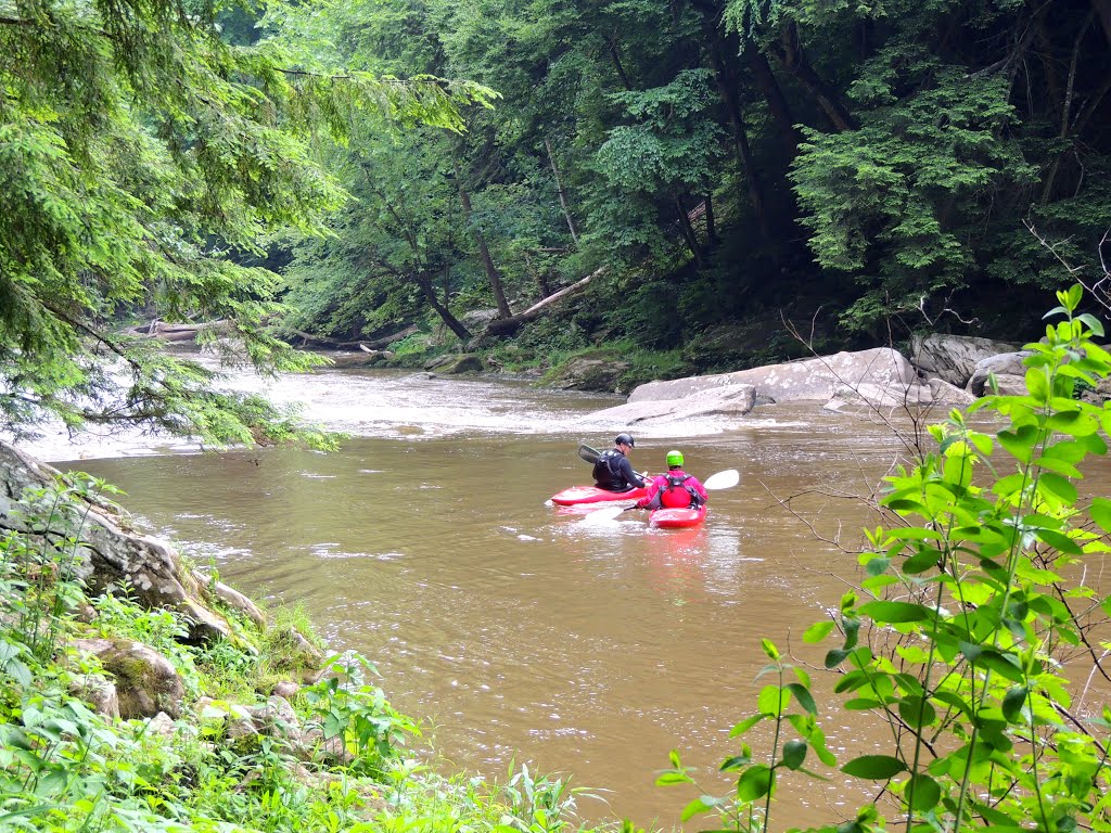 Slippery Rock and Kayaks by DMYG