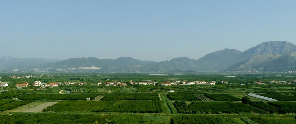 Opuzen (Neretva Delta ) by Dr. Pinczés Sándor