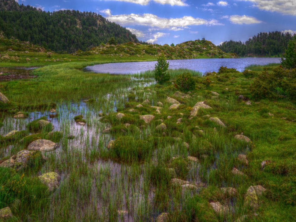 Etang de Pradeille. Estany de la Pradella by cojjack