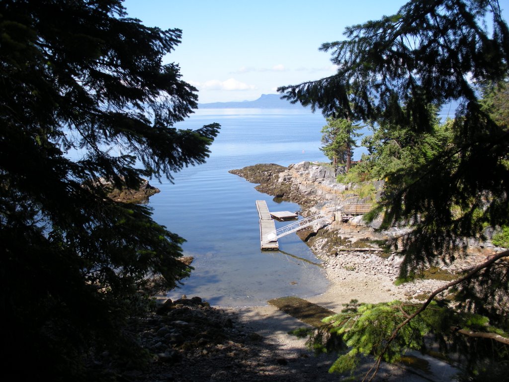 Along the board walk at Rock Water by lifehazard