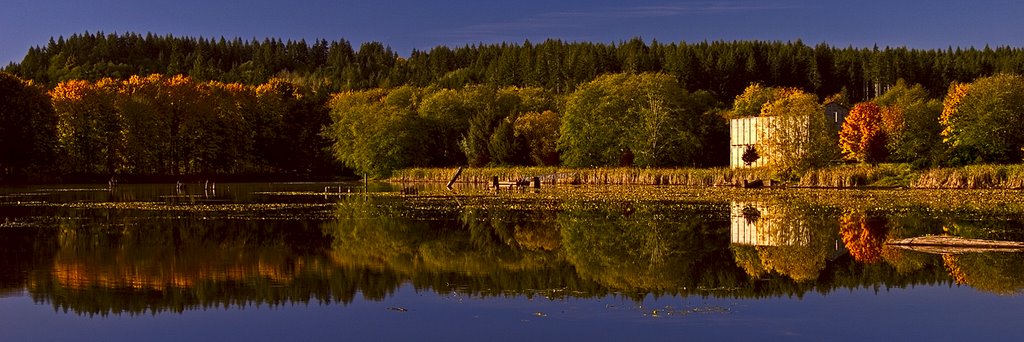 Down at the Old Mill Pond by Curtis Knight